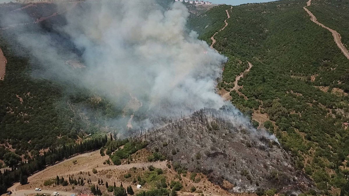 Kocaeli'de makilik alanda yangın: Müdahale sürüyor