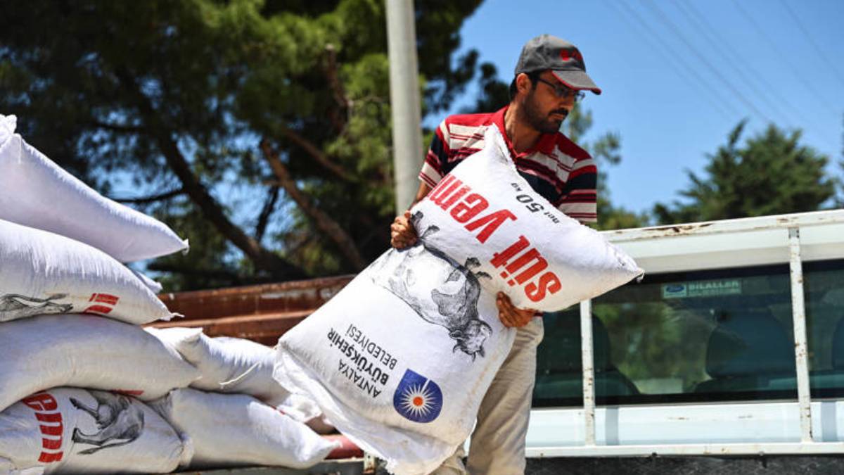 Büyükşehir’den yem desteğiyle süt üretimine güçlü katkı