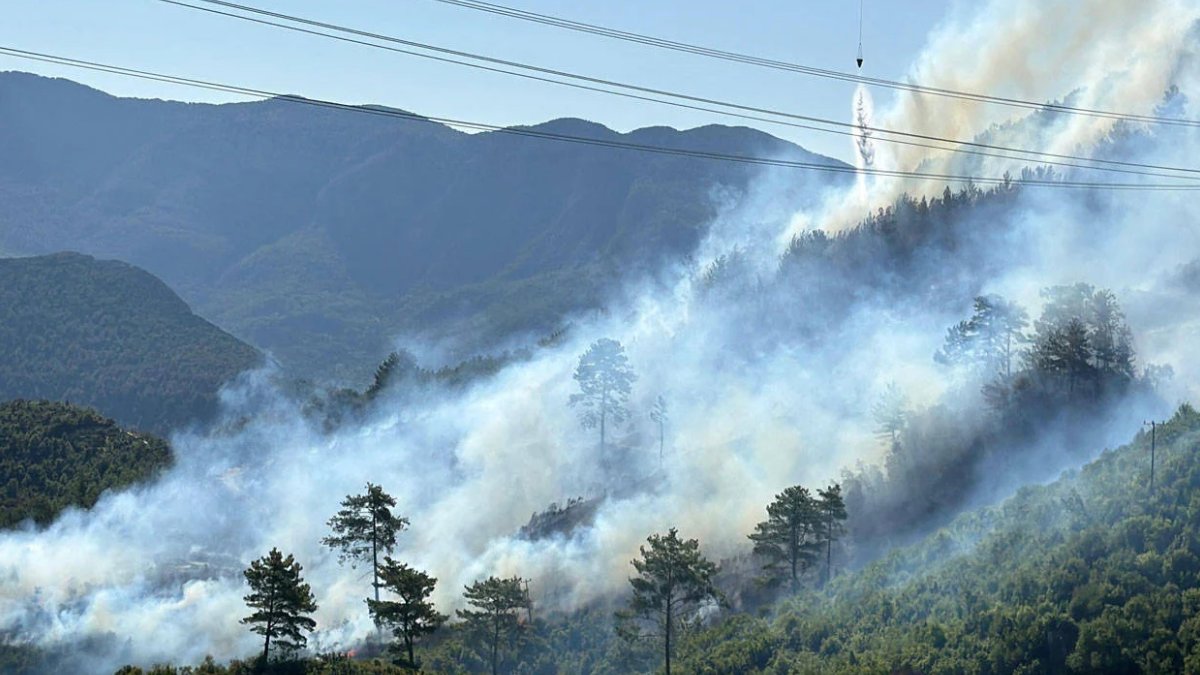 Antalya'da orman yangını
