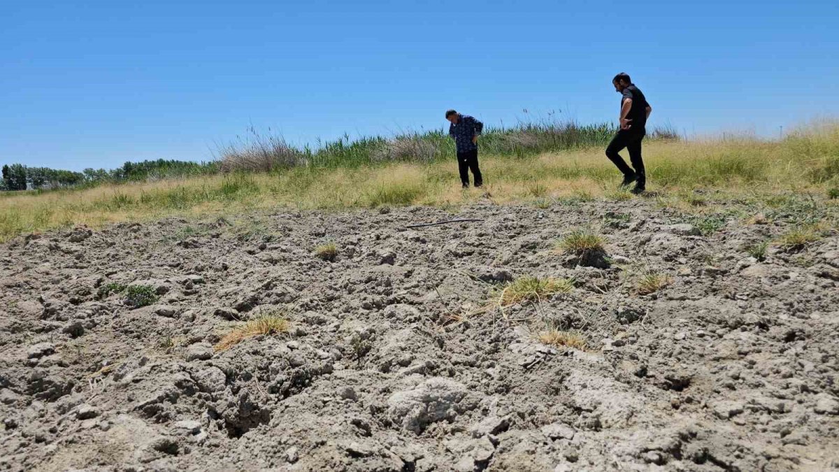 Çocukların yüzdüğü, kuşların uğrak yeriydi! Şimdi bir damlası bile kalmadı: Bitlis'in sevilen gölü kurudu