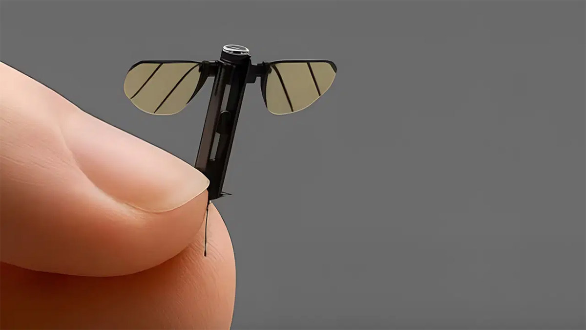 Sivrisinekten al haberi