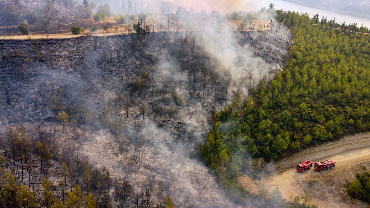 47 ilde ormanlara giriş yasaklandı: Yüksek yangın riski