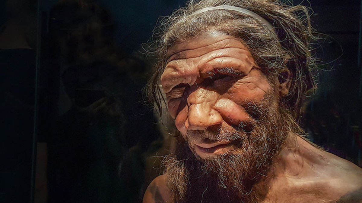 İlk matematikçiler Neandertaller olabilir