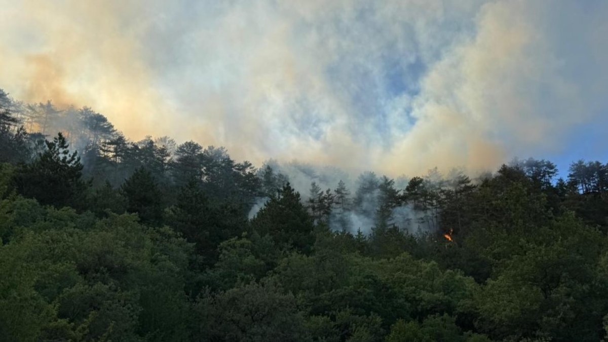 Bolu Göynük’teki orman yangını kontrol altına alındı