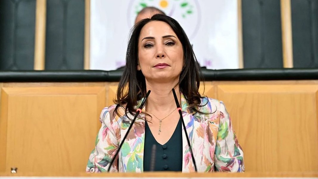 Hatimoğulları: Çözüm süreci şimdilik bir şekilde ilerliyor! Devlet ve iktidar çok yavaş ilerliyor