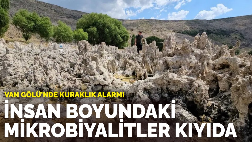 Van Gölü'nde Tarihi Kuraklık: Mikrobiyalitler Yüzeye Çıktı, Endişe Artıyor!
