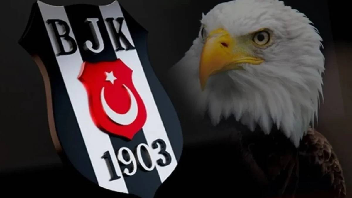 Beşiktaş'tan pota altına dev hamle: O EuroLeague yıldızıyla 'resmi temas' başladı!