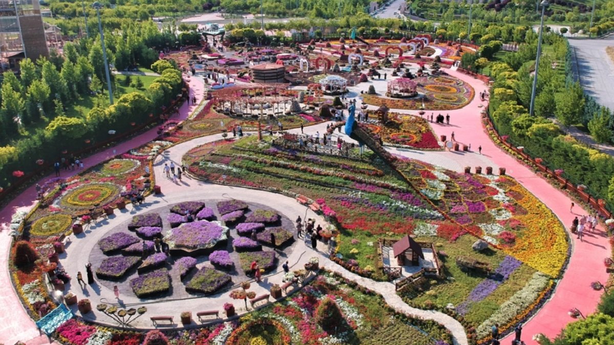 Türkiye’nin en büyüğü oldu! 375 bin tane bulunuyor renkleri ile hayran bırakıyor! Yerli ve yabancı turistlerin gözü o şehirde