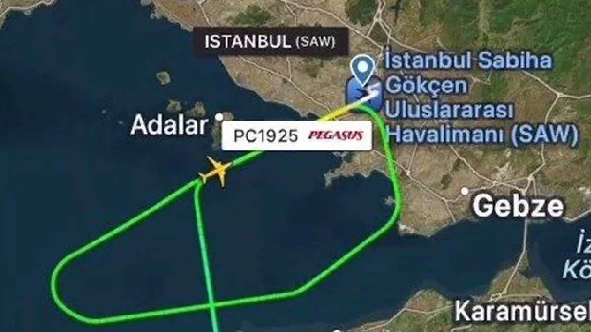 Sabiha Gökçen Havalimanı’nda sürpriz misafir: Tavşan uçağı geri gönderdi