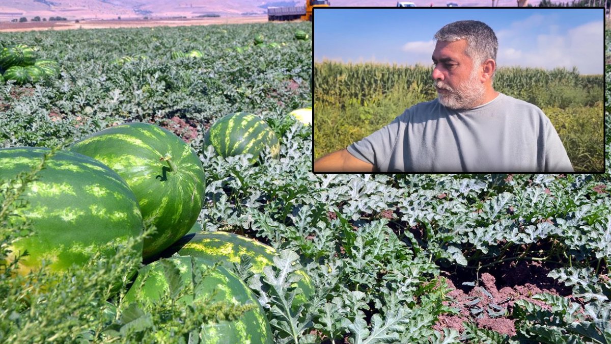 Osmaniye'de çiftçi fiyatlara isyan etti: Markette 20 TL biz 2 TL'ye satamıyoruz