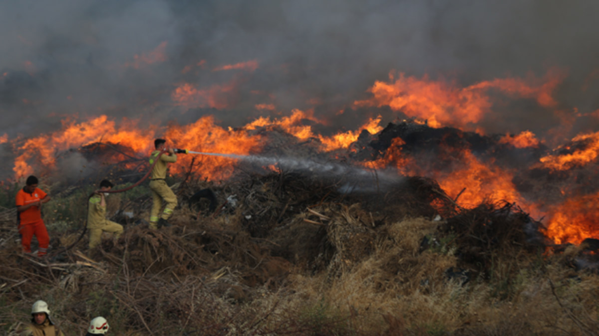 Antalya'da 2 ayrı orman yangını