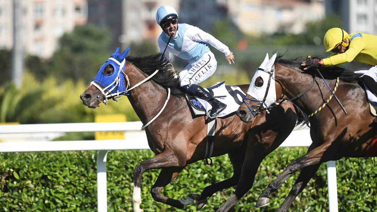 Ahmet Çelik’ten 8. zafer: 99. Gazi Koşusu'nda kazanan Cutha