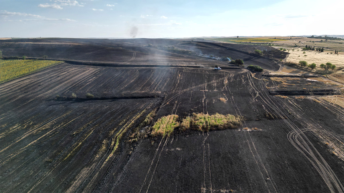 Tekirdağ'da büyük yangın! 1500 dönüm tarım alanı küle döndü