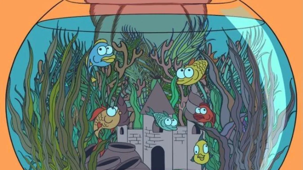 Zekanı test et! Akvaryumdaki gizemli tüyü bulmak için gözlerinizi en az 5 saniye açık tutun!