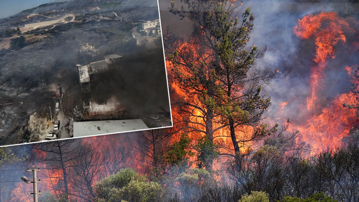 İzmir'deki yangınlarda 2. gün: Hasar gün ağarınca ortaya çıktı, alevlerle mücadele sürüyor