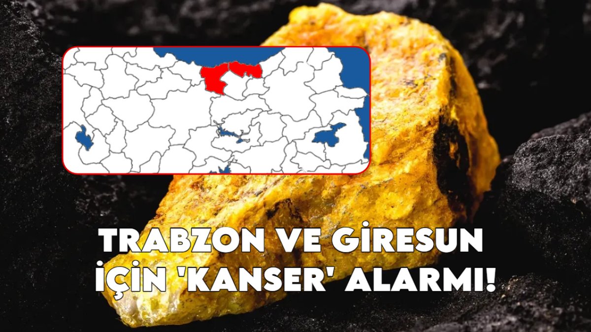 Trabzon ve Giresun için 'kanser' alarmı! Prof. Dr. açıkladı: Bölgedeki 9 bin tonluk dünyanın en değerli madeni tehlike saçıyor