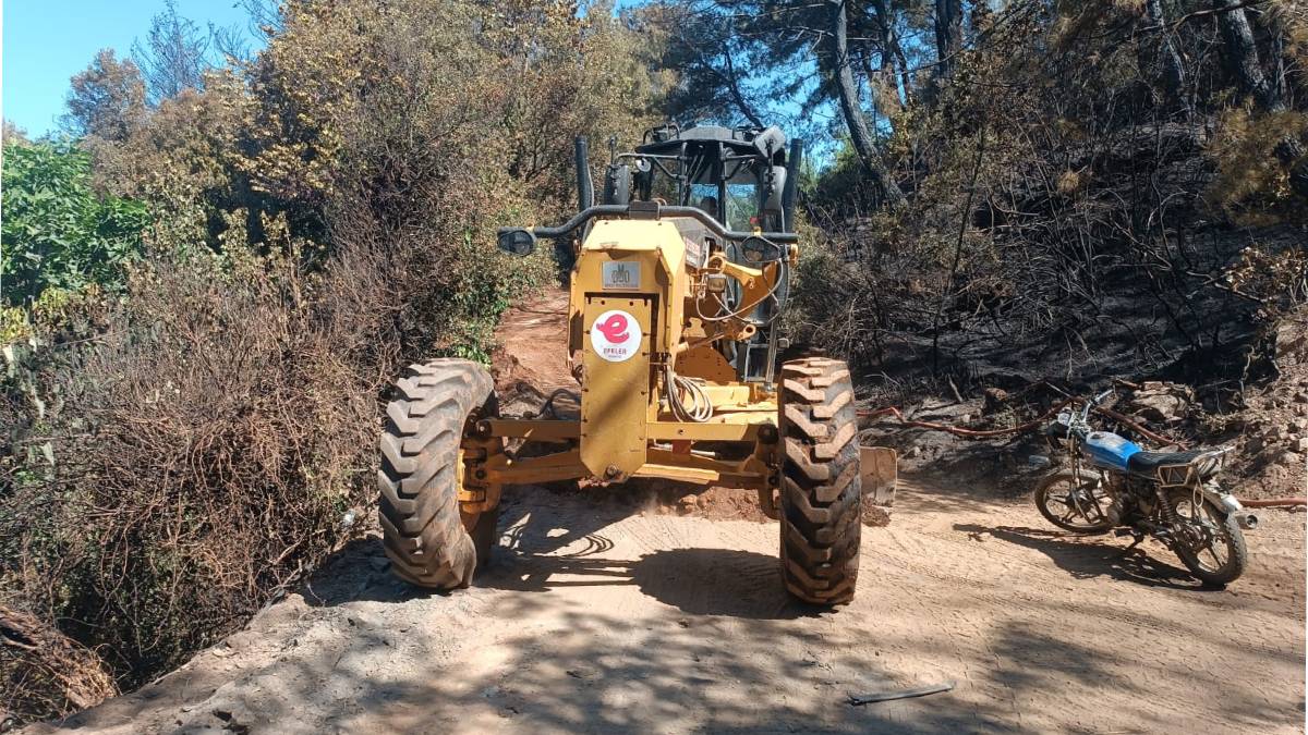 Efeler’de yangının izleri siliniyor