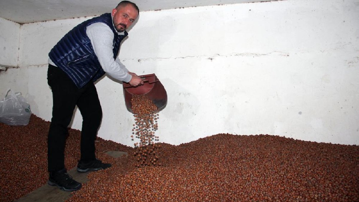 Türkiye’de bolca bulunuyor, yurt dışına bile buradan gidiyor! Fiyatları 220 TL’den 180 TL’ye kadar düştü