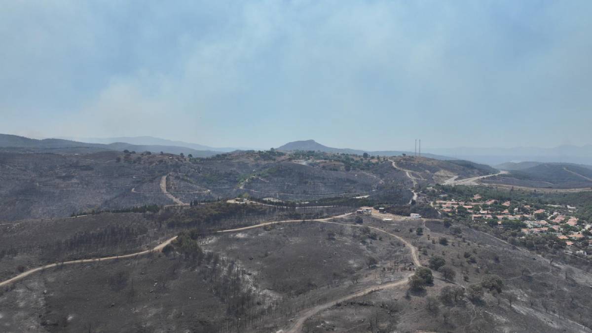 Son 2 gündeki 9 orman yangınından 8'i insan kaynaklı