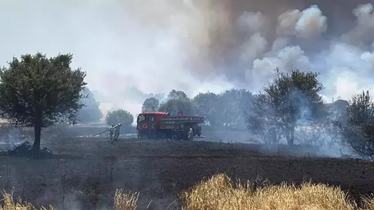 Çanakkale’de ihmalkârlık sonucu çıkan yangınlara soruşturma: 26 kişiye adli işlem başlatıldı