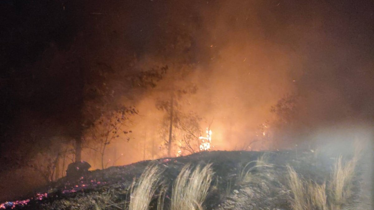 Seferihisar, Genel Hayata Etkili Afet Bölgesi ilan edildi