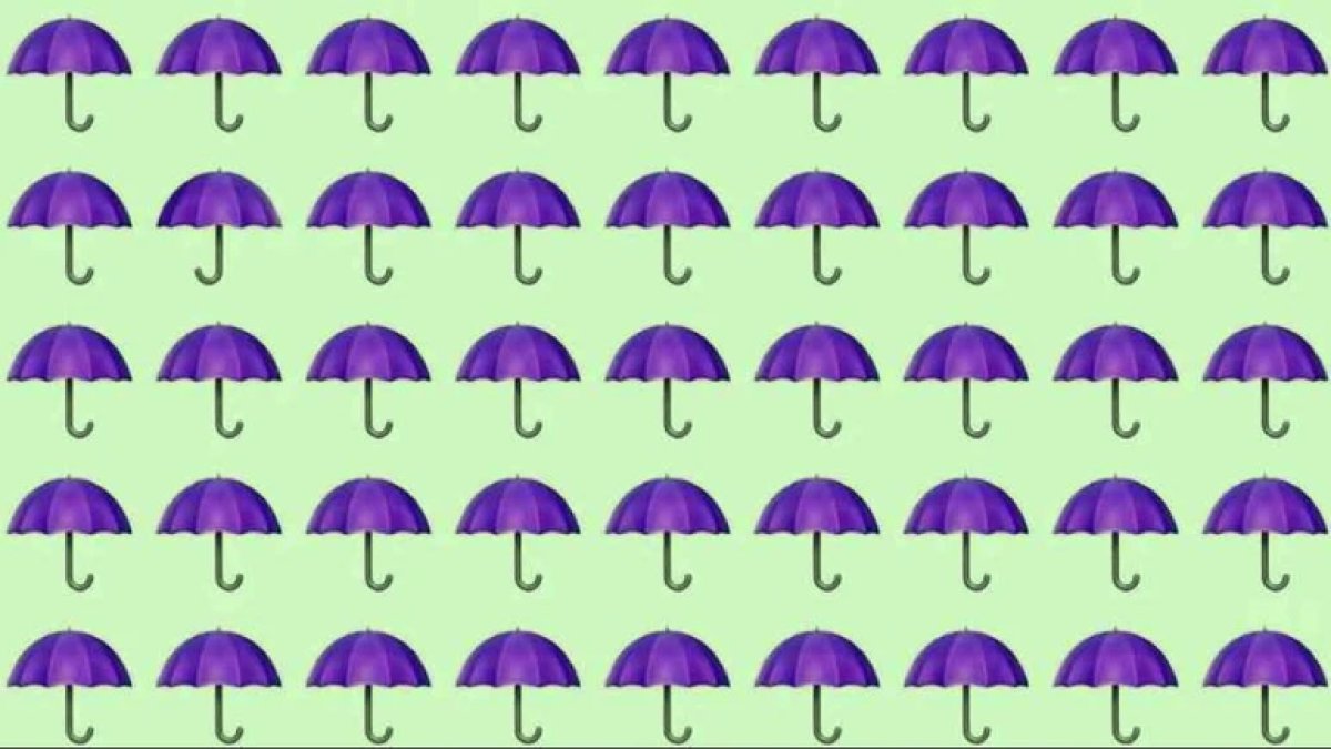Görsel zeka testi: Farklı şemsiyeyi 6 saniyede bulabilenler üstün zekalı sayılıyor