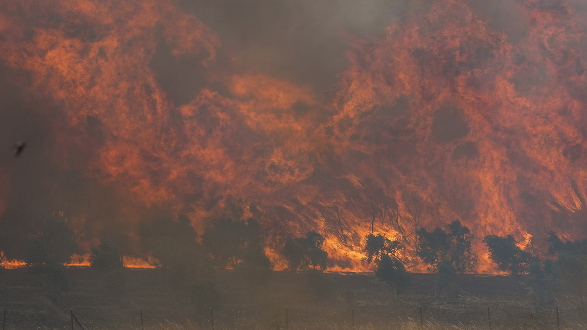 Seferihisar’da yeni yangın: TOKİ konutları tahliye edildi, ekipler müdahaleye devam ediyor