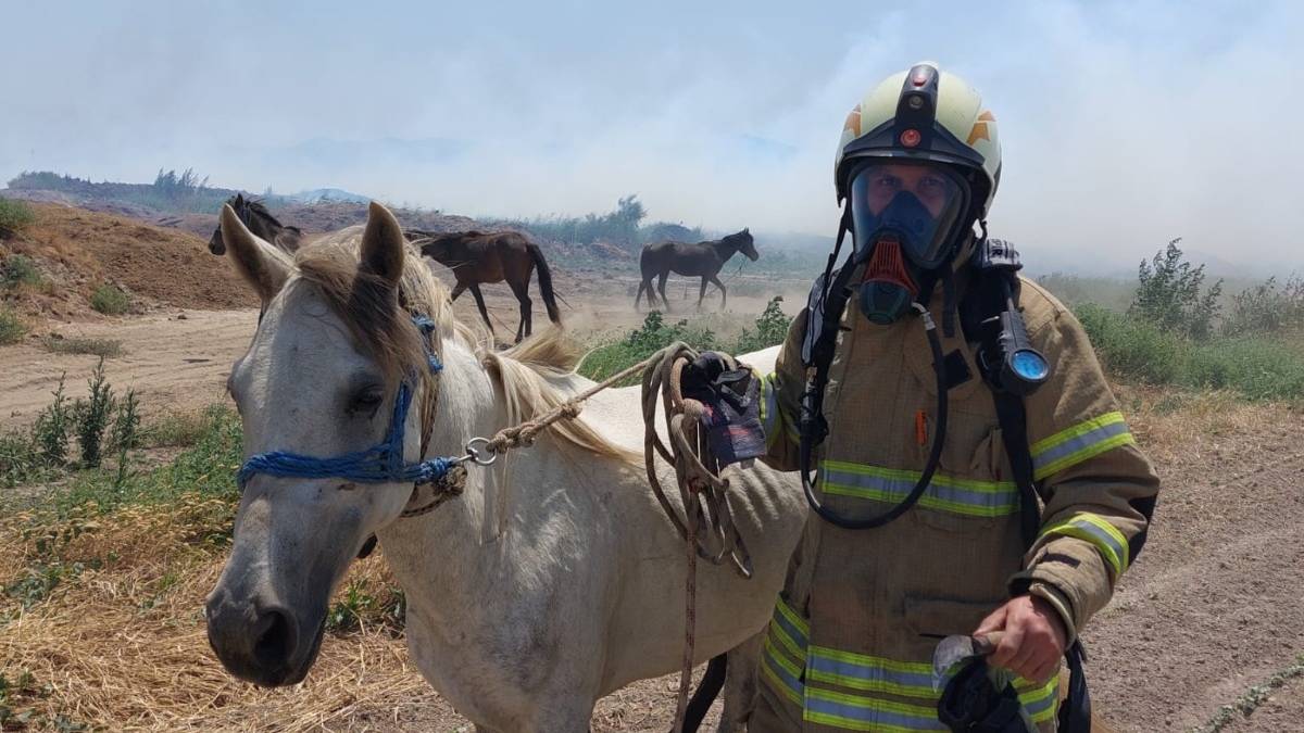 Büyükşehir yangın bölgelerindeki tüm canlıların yardımına koştu