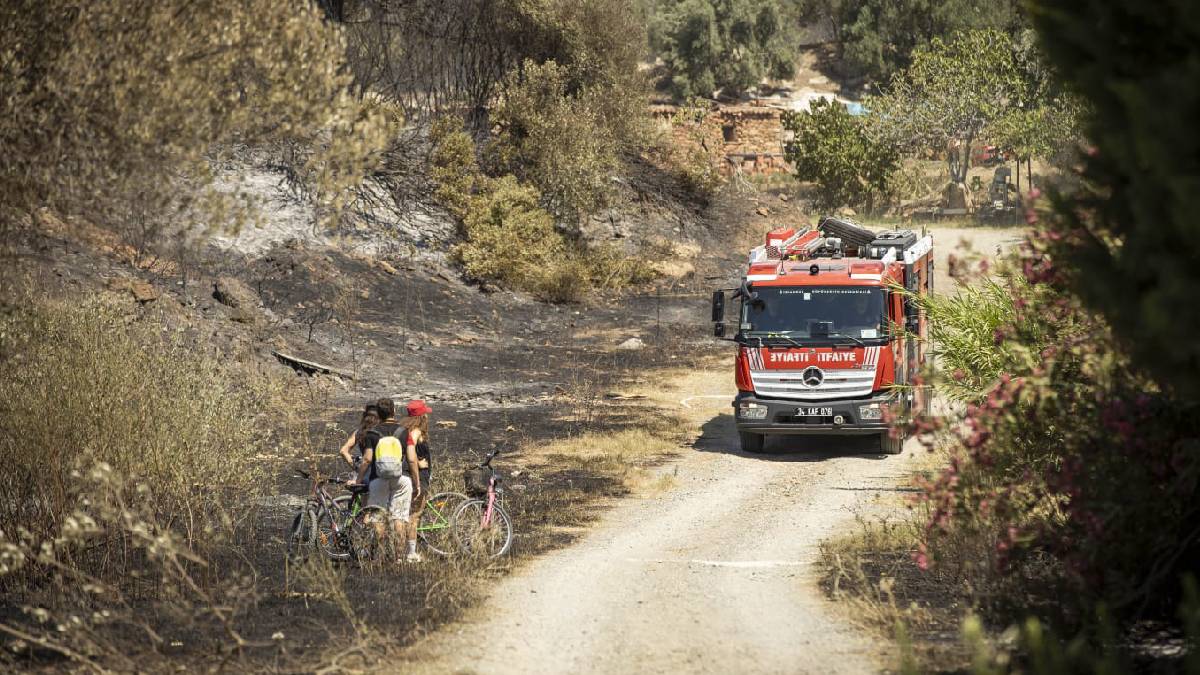 Seferihisar ve Menderes yangınlarının bilançosu ağır