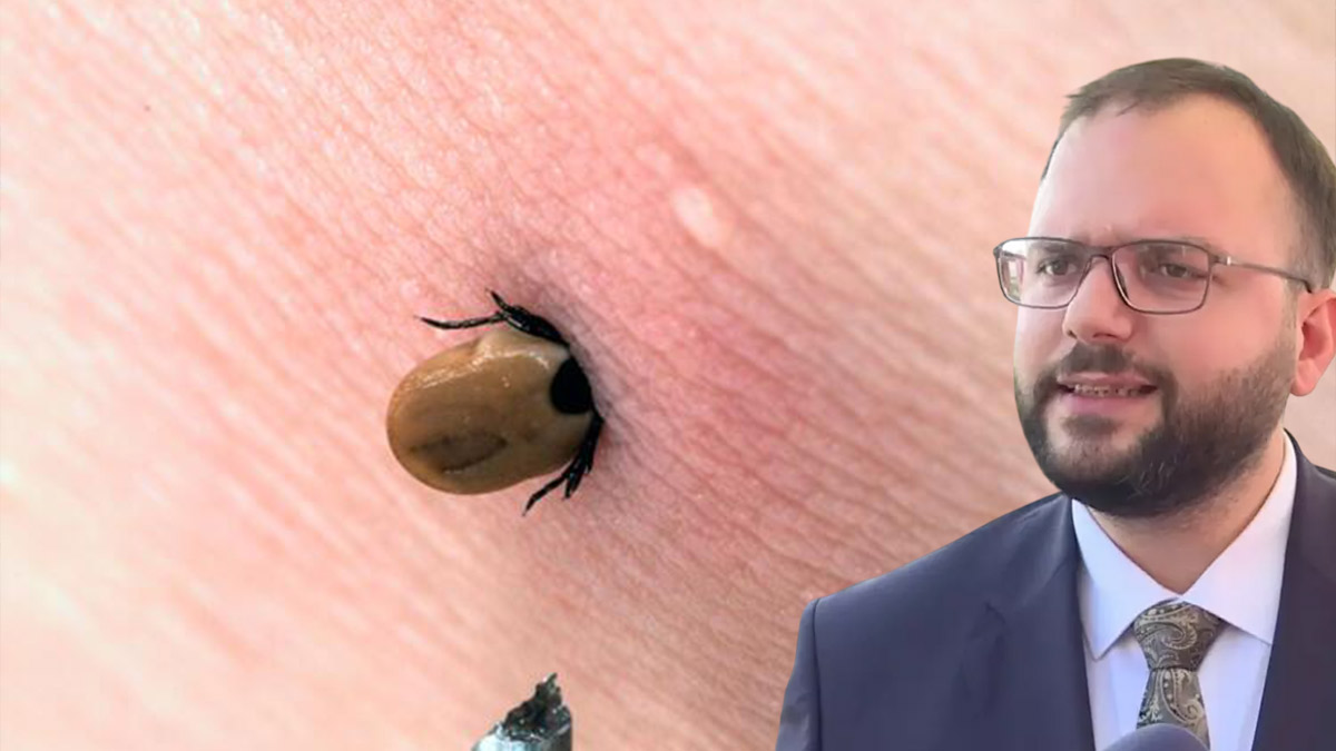 İl Sağlık Müdürü Güner: İstanbul'da görünürlüğü artan keneler zararsız