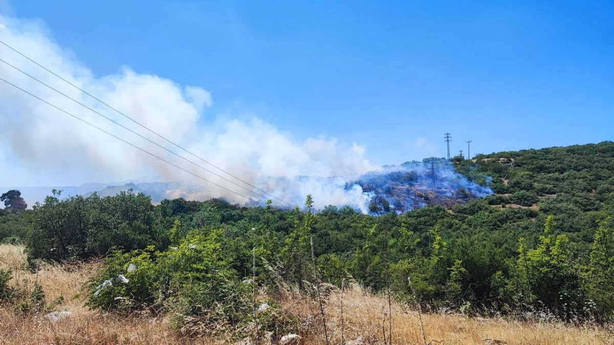 Bursa'nın 2 ilçesinde orman yangını