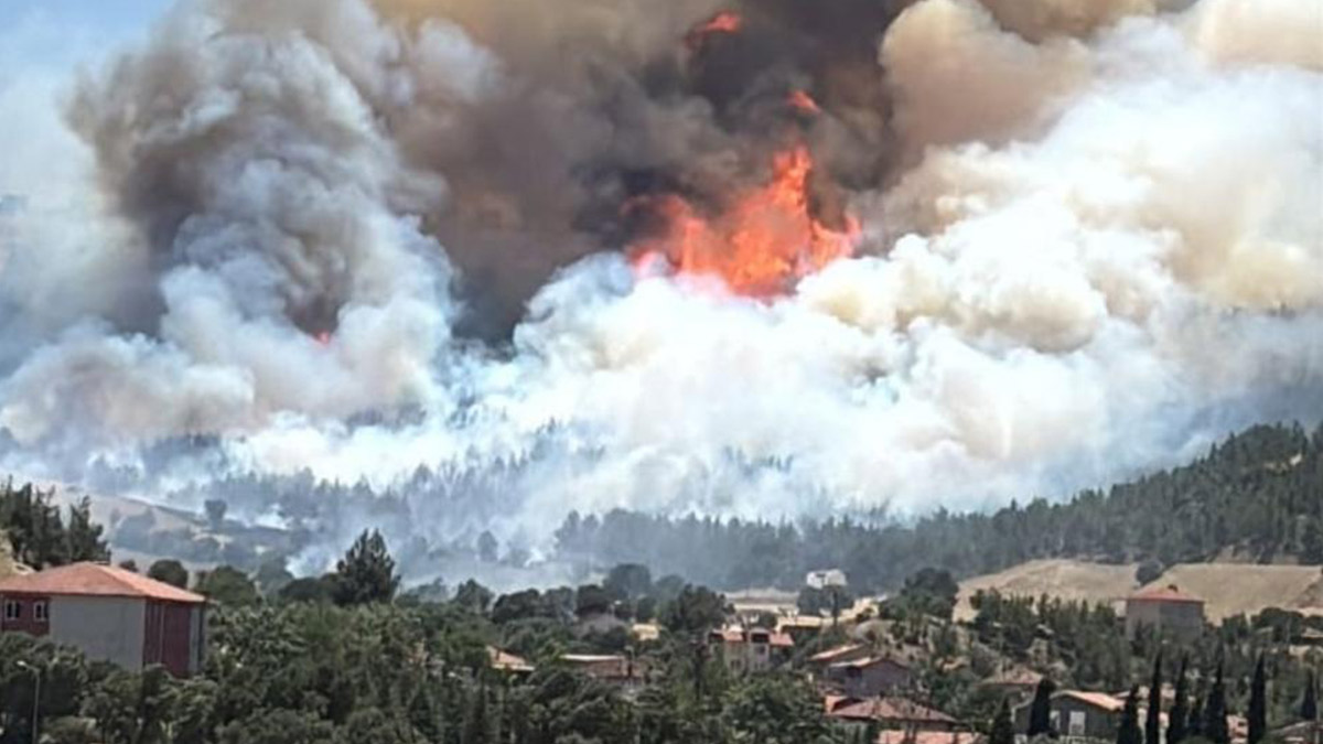 Kütahya'da orman yangını