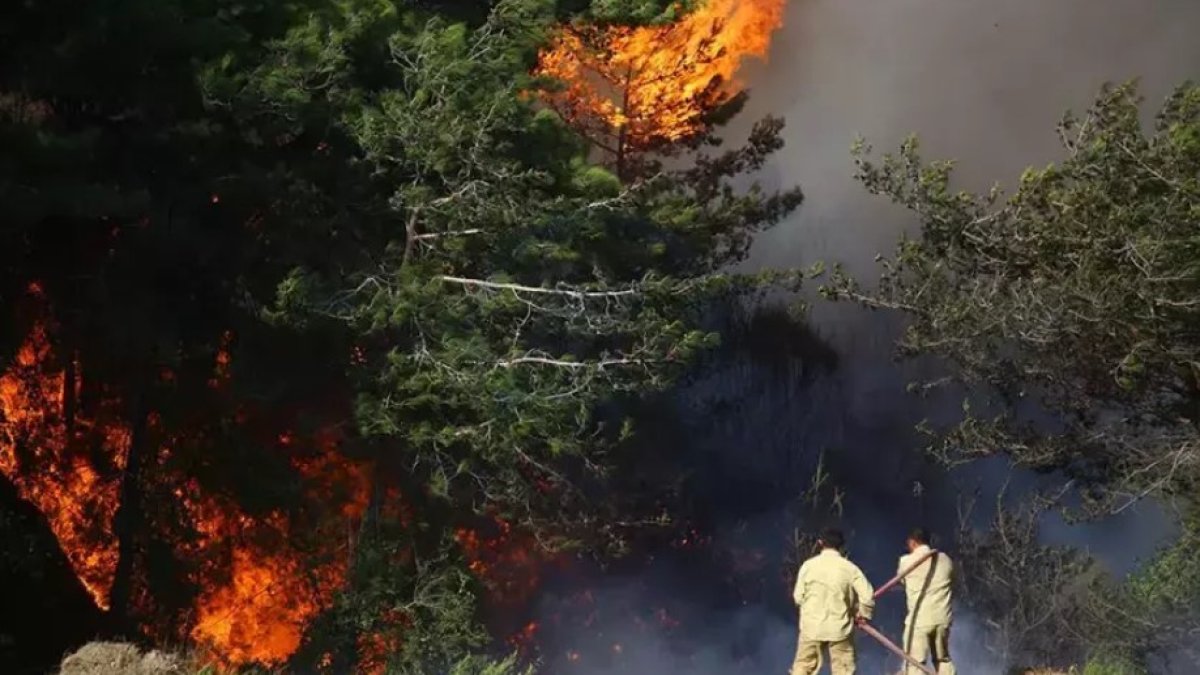 Hatay’da yangın sonrası hasar tespiti: 5 mahallede inceleme tamamlandı