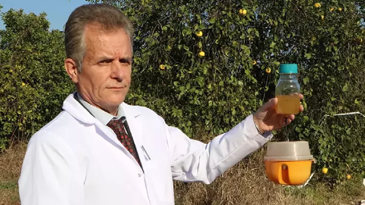 Türkiye’ye 3 milyon dolarlık zarar veriyordu… Biyolojik savaş başlatıldı: Tek kullanımda %100’e yakın sonuç