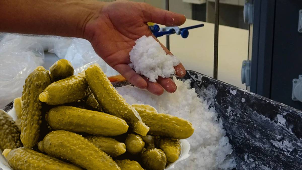 Bu tuzla kurulan turşular sadece lezzetli değil, adeta vitamin deposu! Özel üretiliyor: Turşuyu başka boyuta taşıyor