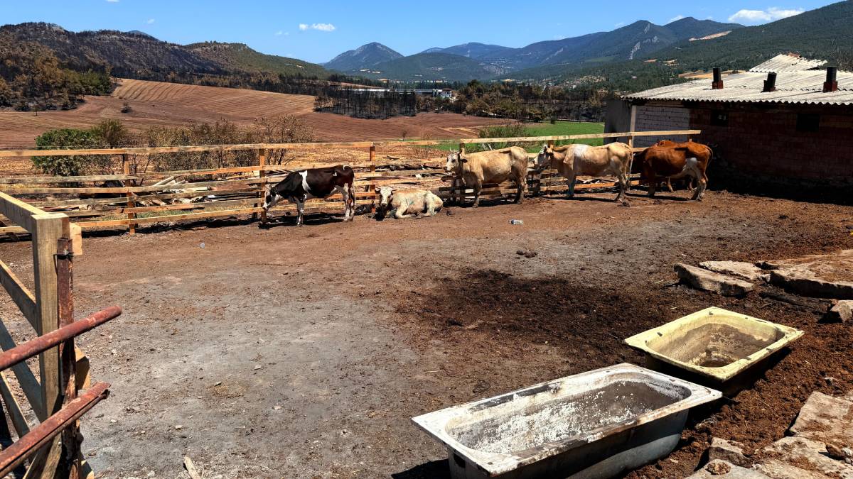 Köy sakininin ahırı belediye çalışanları tarafından yeniden inşa edildi