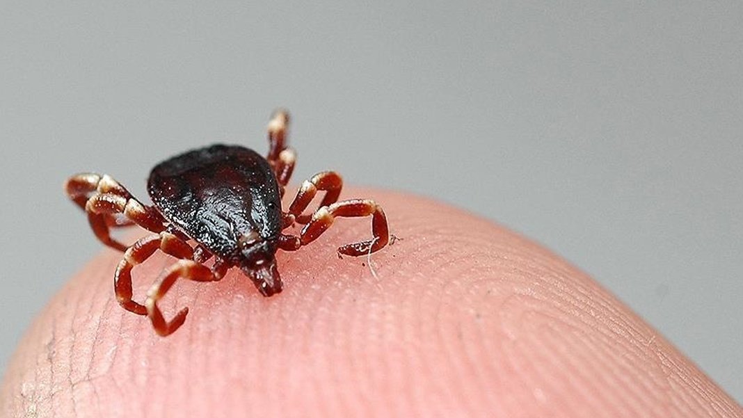 Bolu'da KKKA hastalığı tedavisi gören kişi hayatını kaybetti