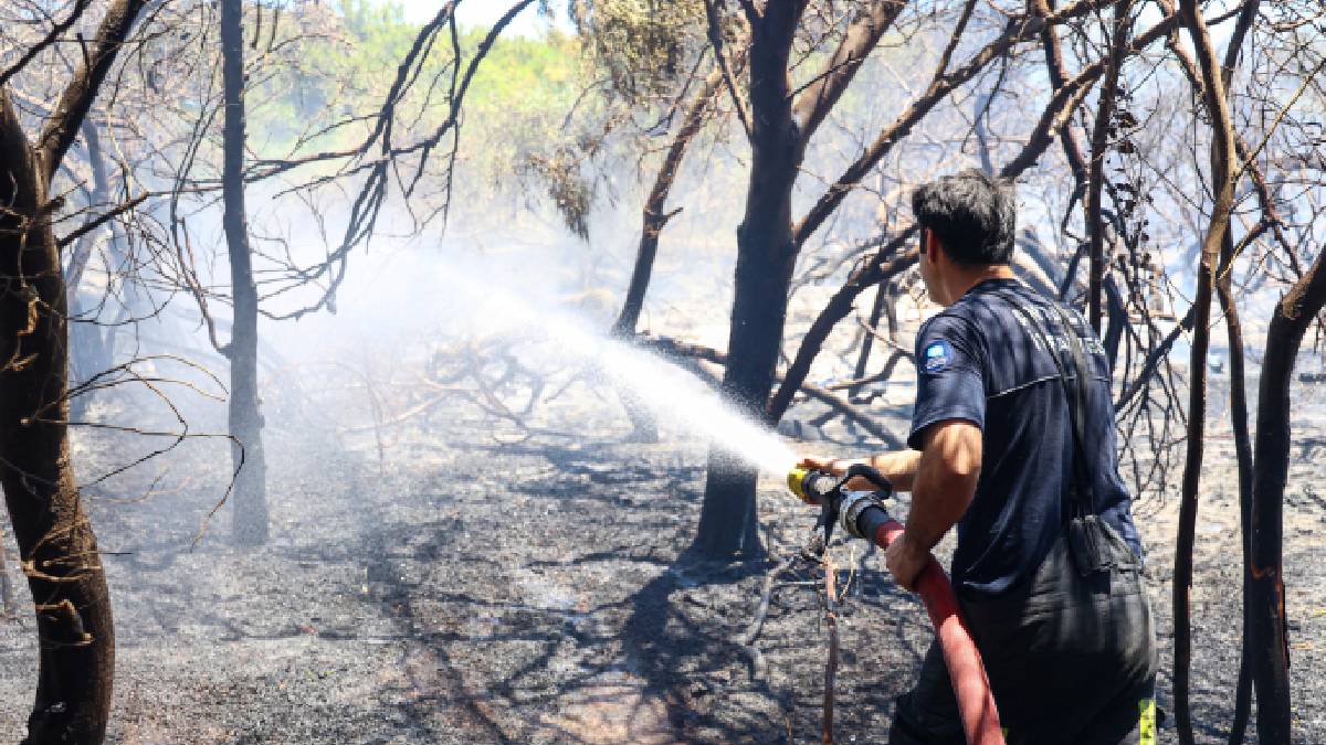 Antalya Büyükşehir Belediyesi İtfaiyesi alevlerle mücadelesini sürdürüyor