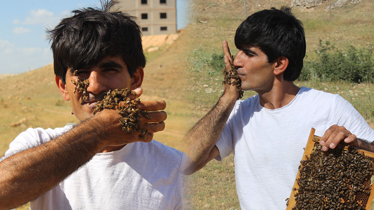 Arılarla dans eden adam: Kovanların yeni süper kahramanı! Bal gibi insan, arıların yakın dostu