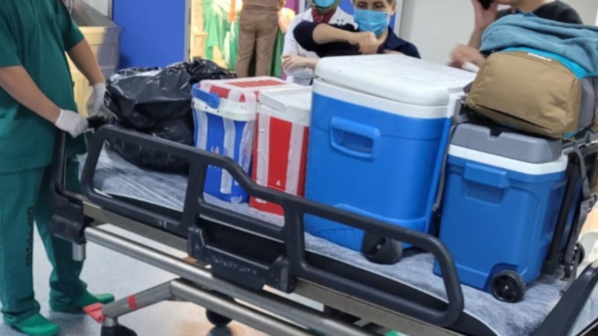 Giresun'da organ bağışı umut oldu: Beyin ölümü sonrası organlar 4 hastaya can verdi