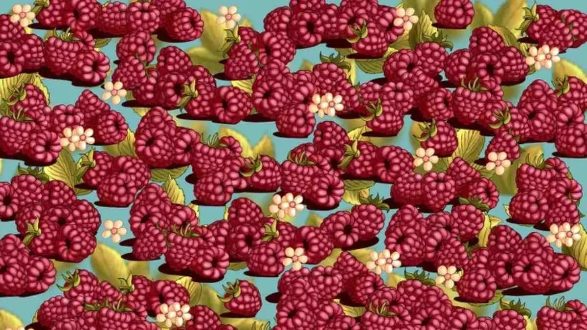 Sadece %1’lik kısım başarabiliyor: 5 saniyede çileği bulabilecek misiniz?