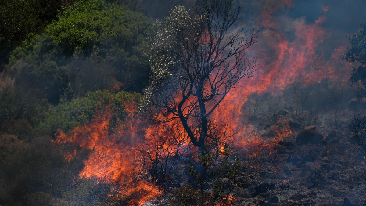 İzmir sabaha kadar yandı: Ödemiş, Buca ve Çeşme'de son durum