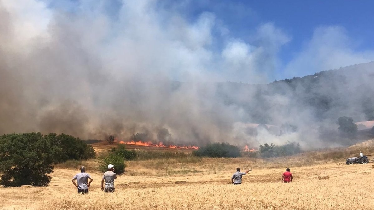 Bursa'da anız yangını ormana sıçradı