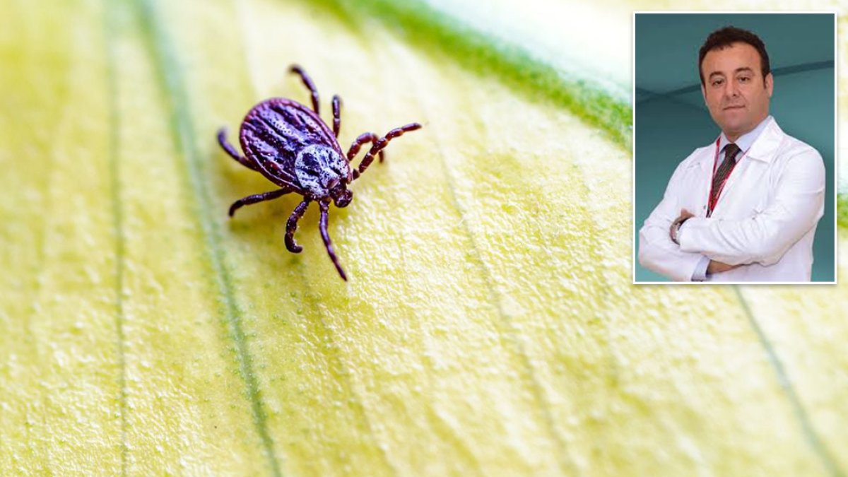Dr. Fatih Bostancı: Kene ısırığı ölümcül hastalıkları tetikleyebilir