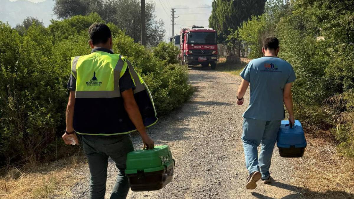 Büyükşehir yangının yaralarını sarmak için tüm gücüyle sahada