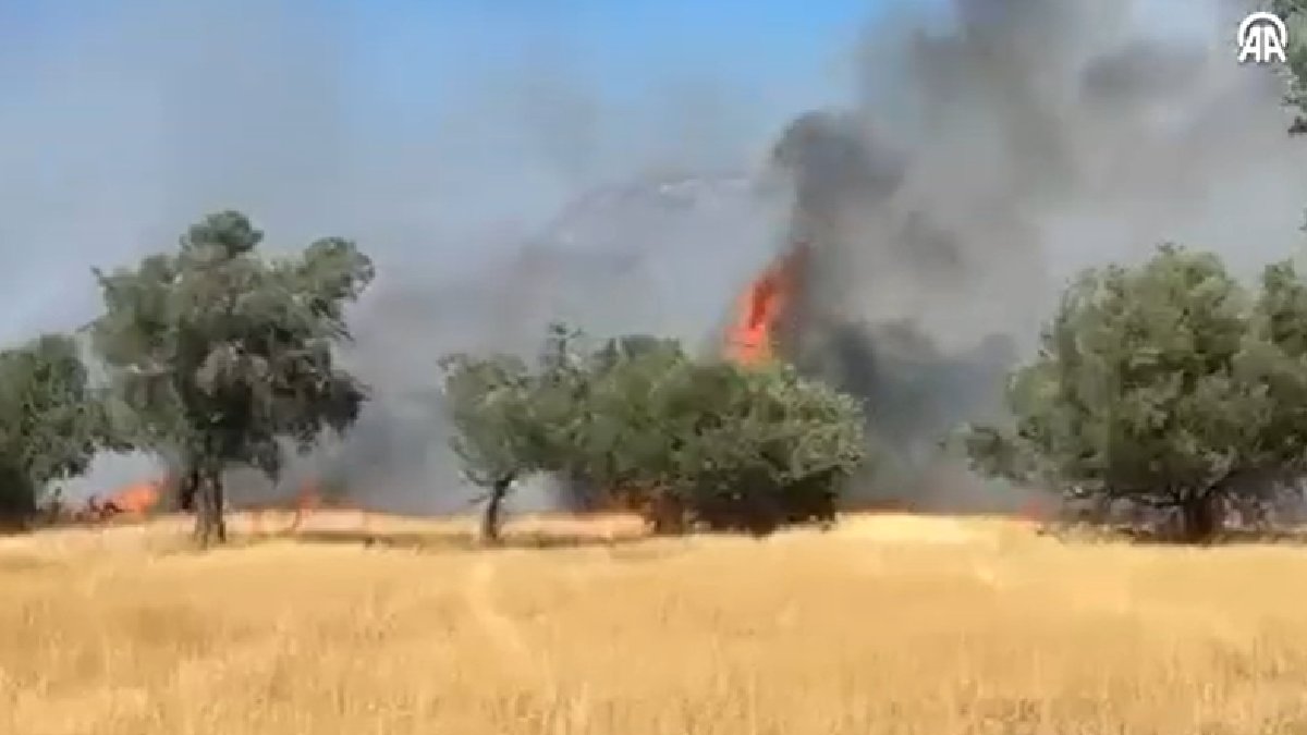Muğla'da ikinci bir orman yangını daha