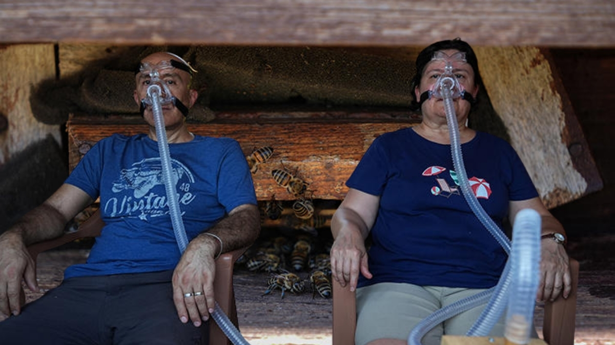 Alerjiyi, astımı, yorgunluğu bitiriyor, 4 günde mucizeler yaratıyor! Konyalı ziraatçi keşfetti, vatandaş akın akın gitti