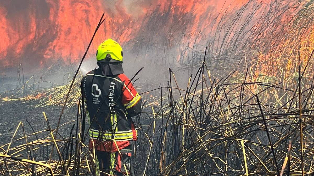 Balıkesir Büyükşehir İtfaiyesinden bölge yangınlarına güçlü destek