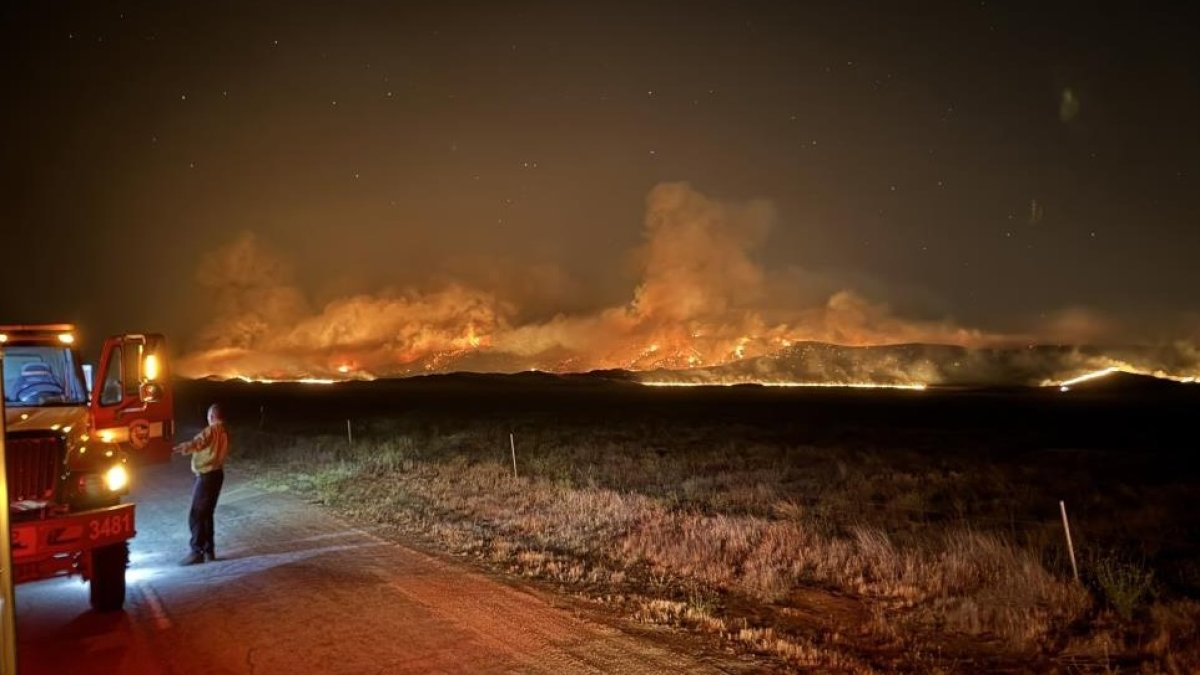 ABD'de orman yangını: 52 bin dönüm kül oldu