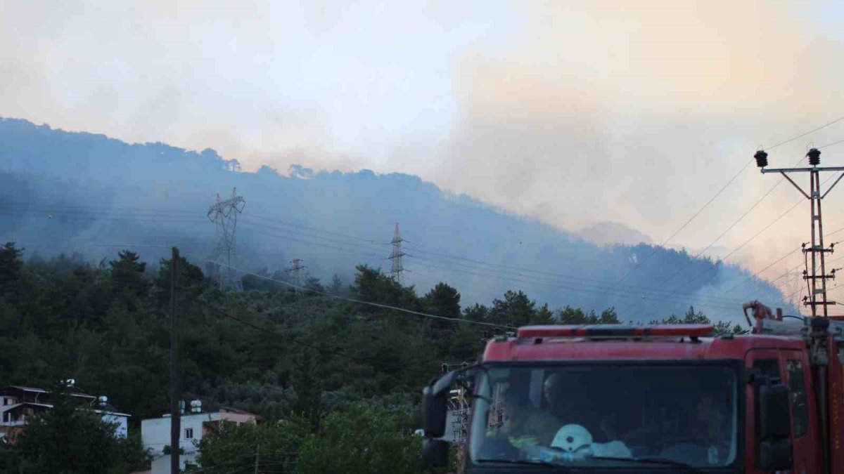 Hatay'da yangın: Dün başladı, kâbus sürüyor